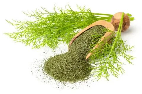 تصویر 5 از قیمت شوید خشک صادراتی